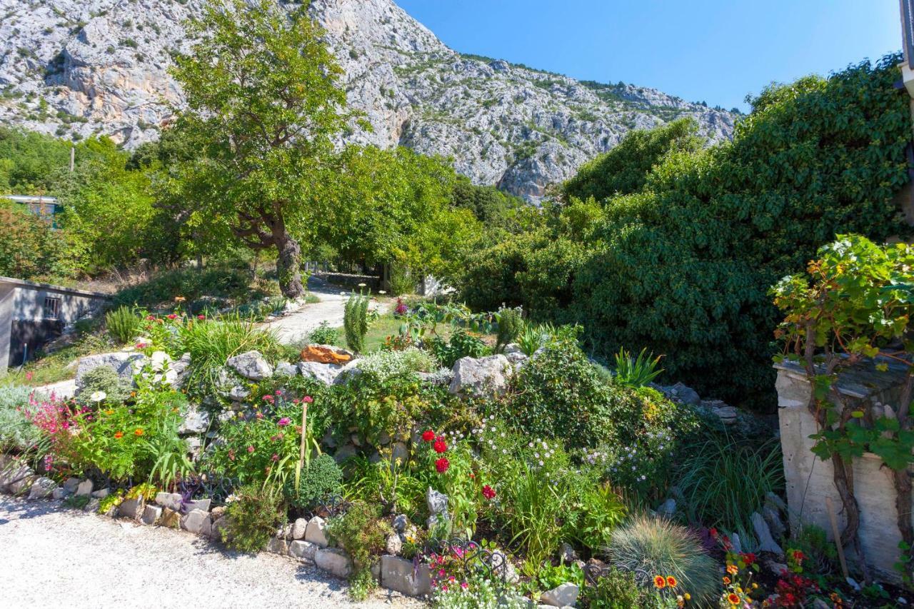 Holiday Home Lavanda Grubisic Tučepi Zewnętrze zdjęcie